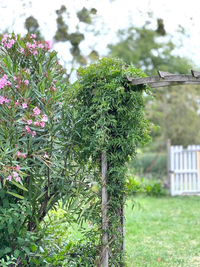 Parenthese Bed & Breakfast Le Vivier sur Mer Bagian luar foto